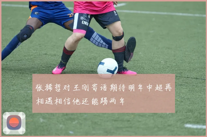 张稀哲对王刚寄语期待明年中超再相遇相信他还能踢两年