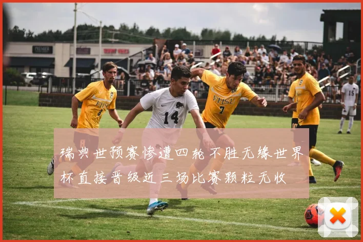 瑞典世预赛惨遭四轮不胜无缘世界杯直接晋级近三场比赛颗粒无收