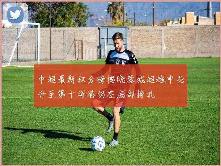 中超最新积分榜揭晓蓉城超越申花升至第十海港仍在底部挣扎