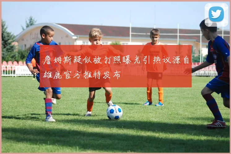 詹姆斯疑似被打照曝光引热议源自雄鹿官方推特发布