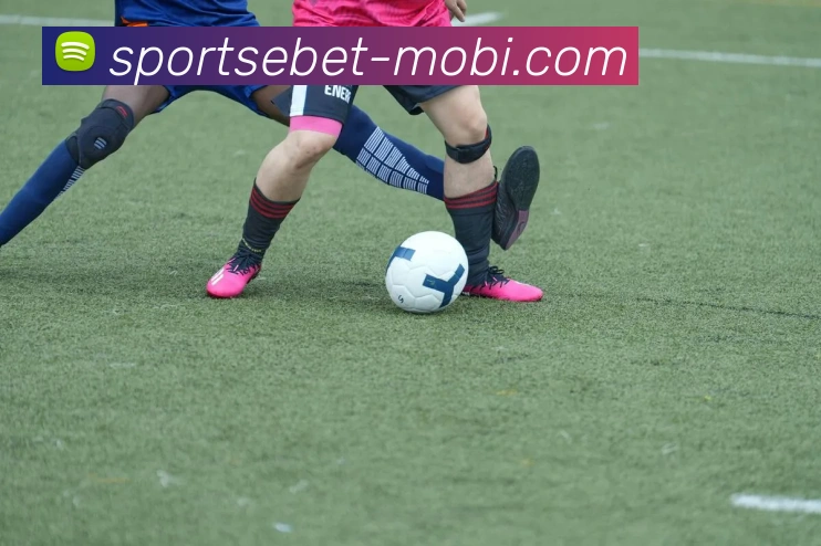 易倍体育平台生态图